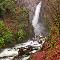 Buy canvas prints of Grey Mares Waterfall in Spate, Kinlochleven Scotla by Barbara Jones