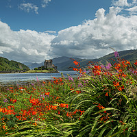 Buy canvas prints of Eilean Donan Castle Summer Flowers Scotland by Barbara Jones