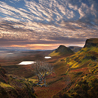 Buy canvas prints of Quiraing at Sunrise Trotternish Skye Scotland by Barbara Jones