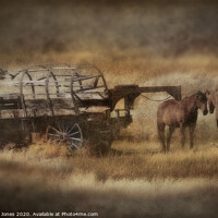 Buy canvas prints of Covered Wagon and Horses Montana USA by Barbara Jones
