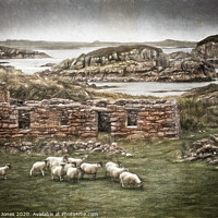 Buy canvas prints of Blackhouse Ruin Kintra Isle of Mull   by Barbara Jones