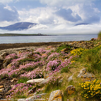 Buy canvas prints of Isle of Hoy in Summer Orkney Scotland by Barbara Jones