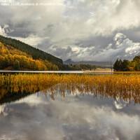 Buy canvas prints of Loch Pityoulish in Autumn, Cairngorms Scotland by Barbara Jones