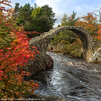 Buy canvas prints of Carrbridge  in Autumn Cairngorms NP  Scotland by Barbara Jones