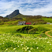 Buy canvas prints of Galmisdale Farm Isle of Eigg Scotland by Barbara Jones