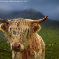 Buy canvas prints of Highland Cow and Skye Weather Scotland by Barbara Jones