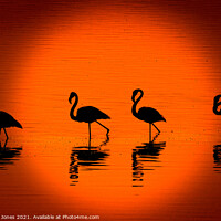 Buy canvas prints of Flamingos at Sunset Nakuru Kenya Africa by Barbara Jones