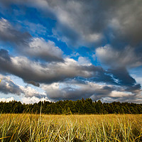 Buy canvas prints of A meadow grass and sky with clouds. by Alexey Rezvykh