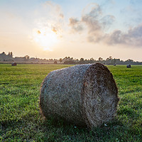Buy canvas prints of Haystack rolls on field in sunset light. by Alexey Rezvykh