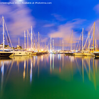 Buy canvas prints of Boats moored in Palma Port in Majorca in the Evening by Richard O'Donoghue