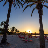 Buy canvas prints of Majorca sunrise beach palm trees  by Richard O'Donoghue