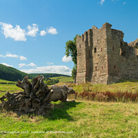 Hopton Castle Ruins Landscape in Shropshire, UK