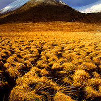 Buy canvas prints of Corrie Ba, Rannoch Moor by Adrian Snowball