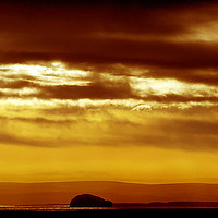 Buy canvas prints of The Bass Rock by Adrian Snowball