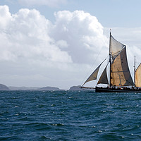 Buy canvas prints of Gaff Rigged Ketch by Adrian Snowball