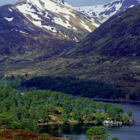 Buy canvas prints of Tom a Choinich, Glen Affric by Adrian Snowball