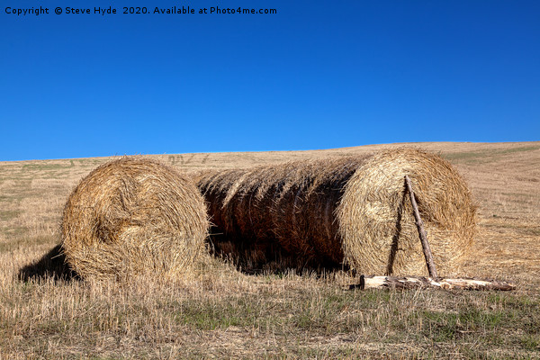 Round Hay Bales drying in the Tuscany sun Picture Board by Steve Hyde