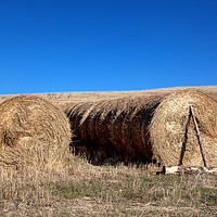 Buy canvas prints of Round Hay Bales drying in the Tuscany sun by Steve Hyde