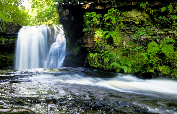 Sgwd Ddwli Isaf or Lower Gushing Falls, Wales Picture Board by Steve Hyde