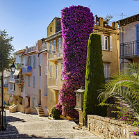 Buy canvas prints of Cannes Old Town, Le Suquet, France by Steve Hyde