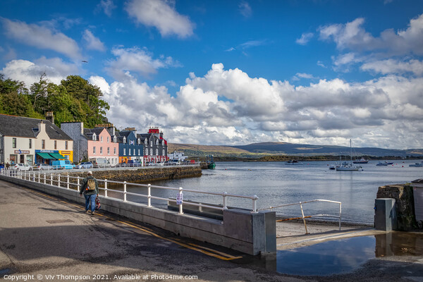 A Tobermory Morning Picture Board by Viv Thompson