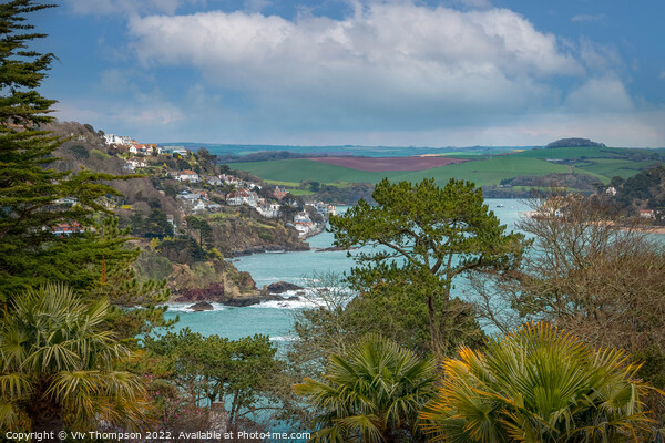 Captivating View of Salcombe Picture Board by Viv Thompson