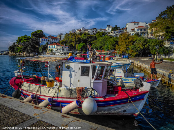 Moored at Skiathos Picture Board by Viv Thompson