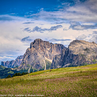 Buy canvas prints of Walking in the Seiser Alm by Viv Thompson