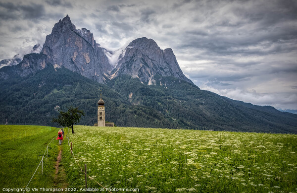 Walking in South Tyrol Picture Board by Viv Thompson