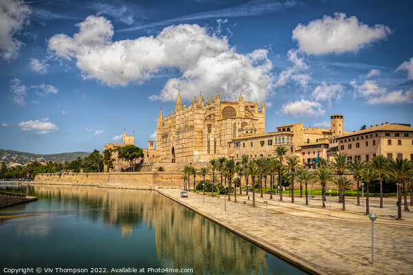 Majestic Gothic Cathedral in Palma Picture Board by Viv Thompson