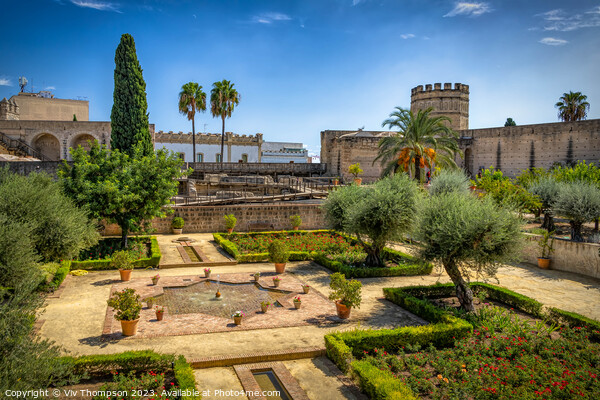The Alcazar Gardens, Jerez Picture Board by Viv Thompson