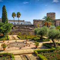 Buy canvas prints of The Alcazar Gardens, Jerez by Viv Thompson