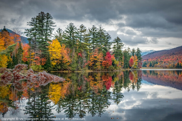 Reflecting on Autumn Picture Board by Viv Thompson