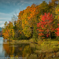 Buy canvas prints of Ablaze in Vermont by Viv Thompson