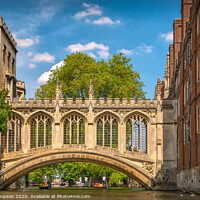 Buy canvas prints of Punting on the River Cam by Viv Thompson