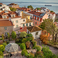 Buy canvas prints of A Garden in Lisbon by Viv Thompson