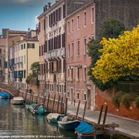 Buy canvas prints of Springtime in Venice by Viv Thompson
