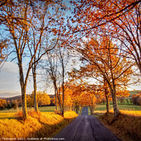 Buy canvas prints of October Road by Viv Thompson