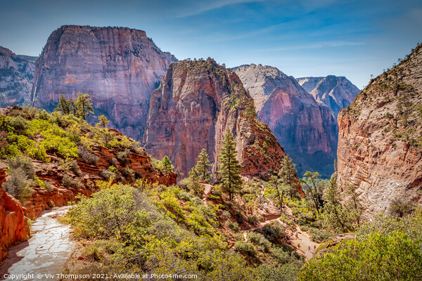 Angel's Landing Picture Board by Viv Thompson