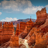 Buy canvas prints of Descent into Bryce Canyon by Viv Thompson