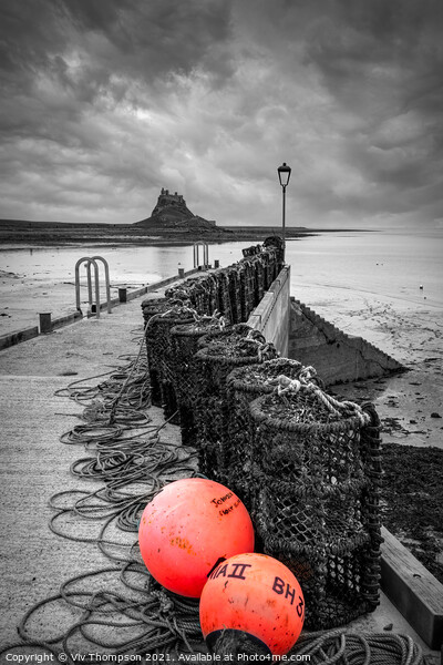 Lobster Pots and Lindisfarne Picture Board by Viv Thompson