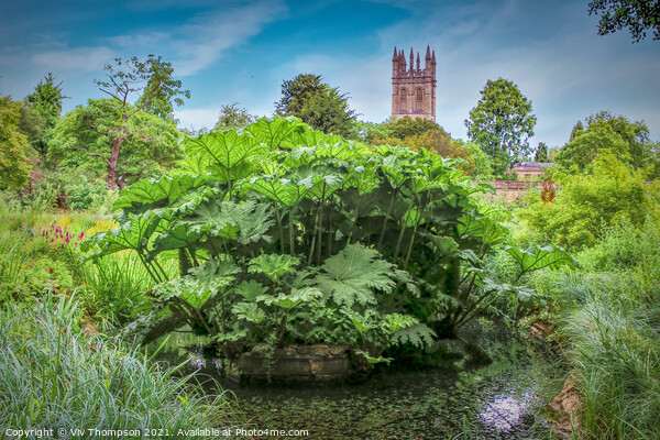 Oxford Botanic Gardens Picture Board by Viv Thompson