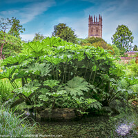 Buy canvas prints of Oxford Botanic Gardens by Viv Thompson