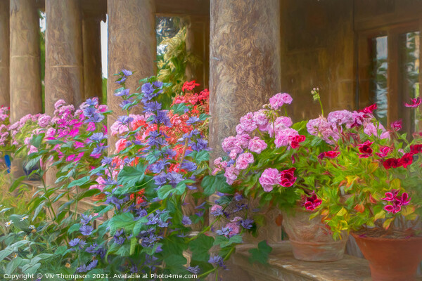 Pillars and Pelargoniums Picture Board by Viv Thompson