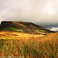Buy canvas prints of Pen-y-Ghent by Paul Clifton