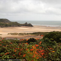 Buy canvas prints of Three Cliffs Bay by Paul Clifton