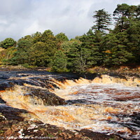 Buy canvas prints of River Tees in full flow. by Paul Clifton