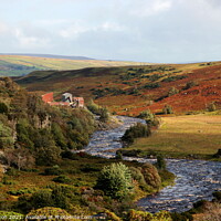 Buy canvas prints of The river Tees in the Pennines. by Paul Clifton