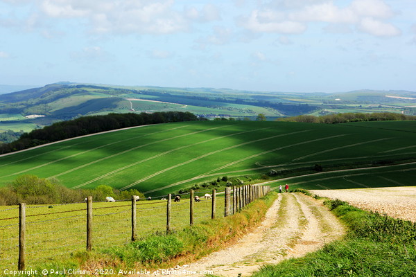 A view of the south downs national park Picture Board by Paul Clifton