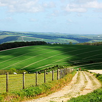 Buy canvas prints of A view of the south downs national park by Paul Clifton